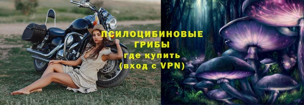 apvp Михайловка