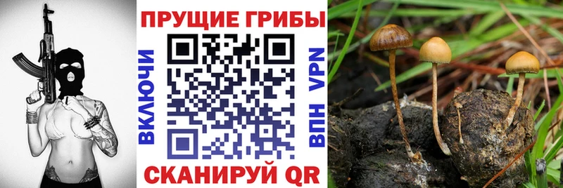 Галлюциногенные грибы GOLDEN TEACHER  Ханты-Мансийск 